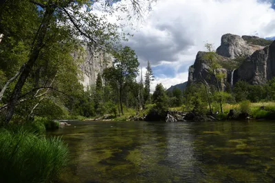 DSC_4342 (Large).JPG